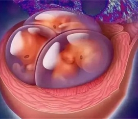 孕前要当心哪些疾病传染宝宝